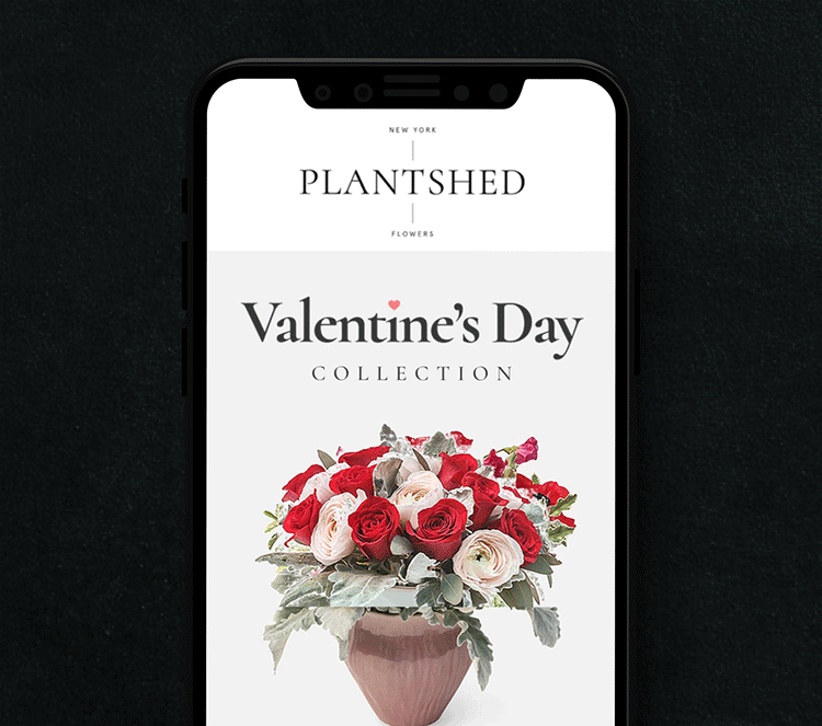 Email Blast for Plantshed.com