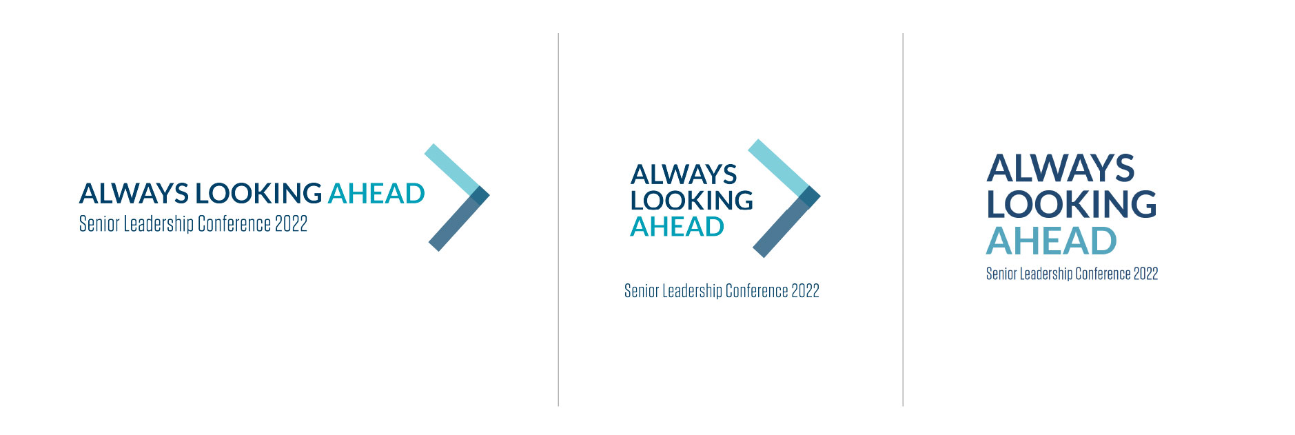 Protiviti Senior Leadership Conference Brin Azzarello